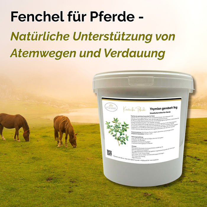 Fenchel Pferd 1kg