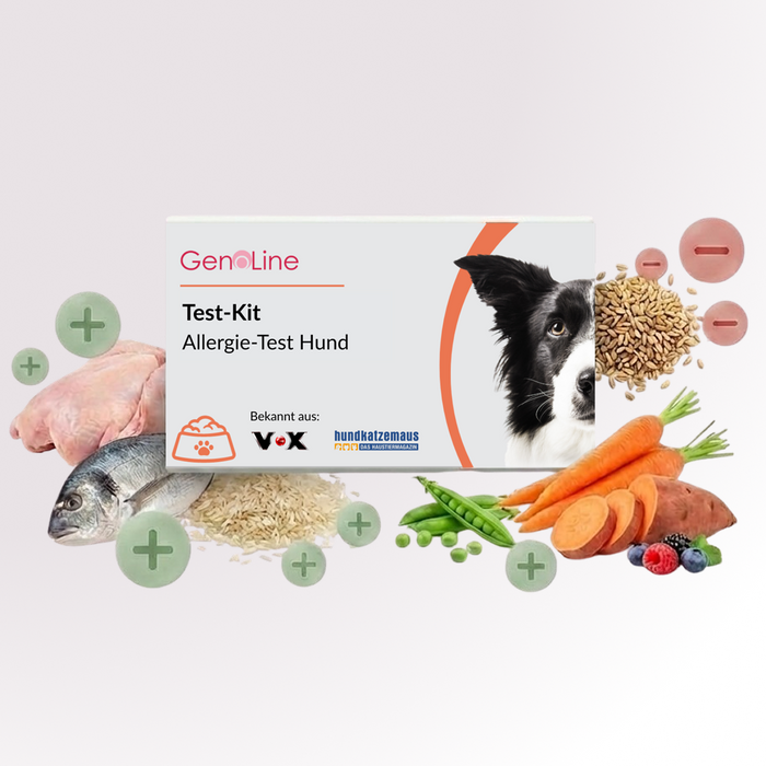 Allergietest für Hunde