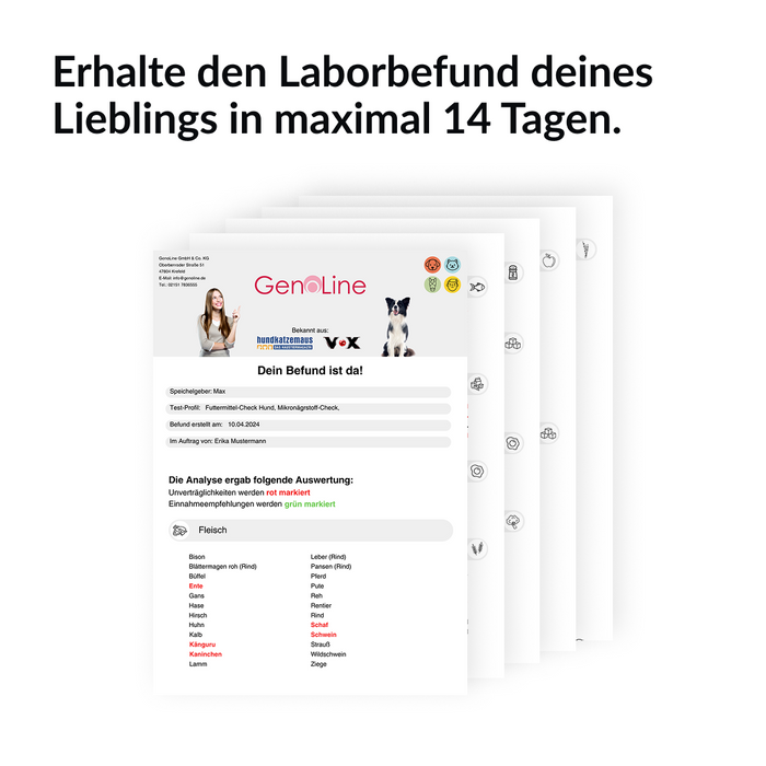 Allergietest für Hunde