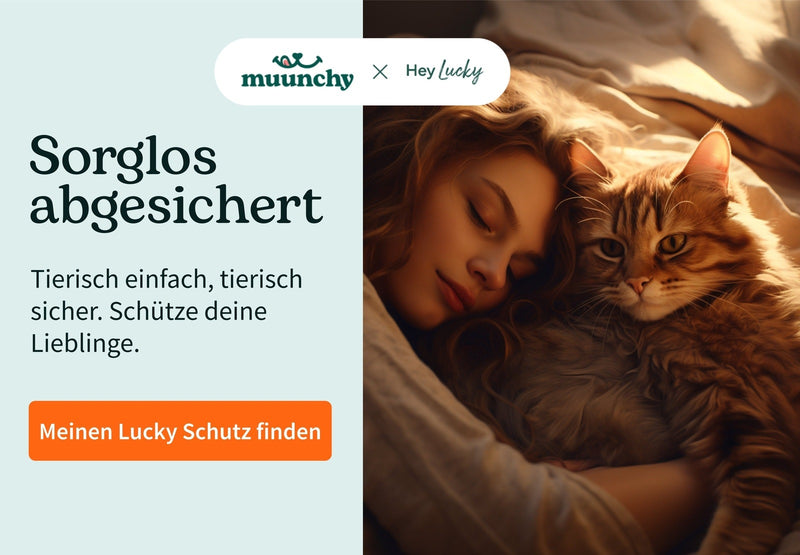 Tierversicherung | muunchy.de