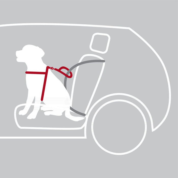 Auto-Geschirr Comfort, schwarz