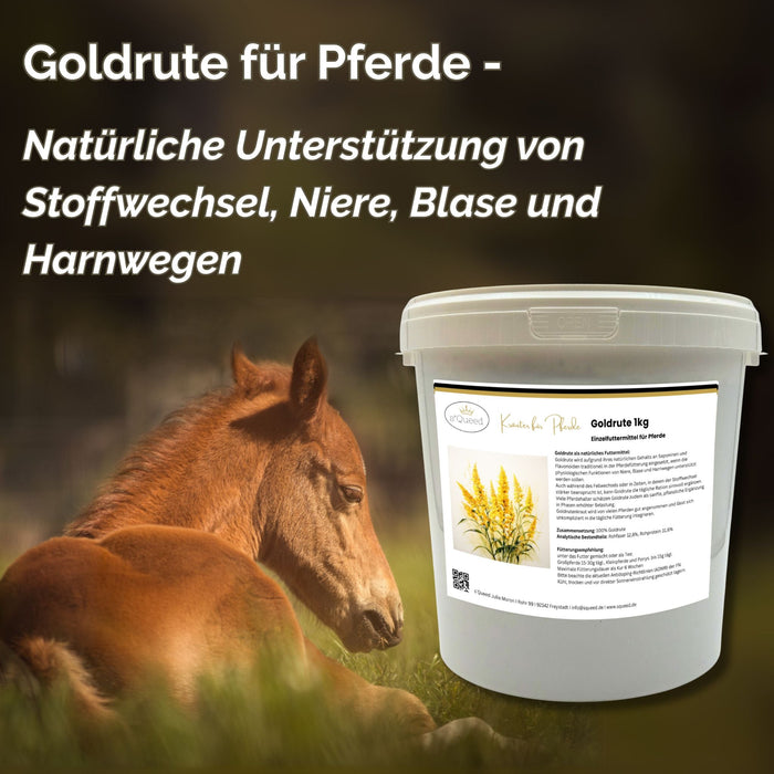 Goldrute Pferd 1kg