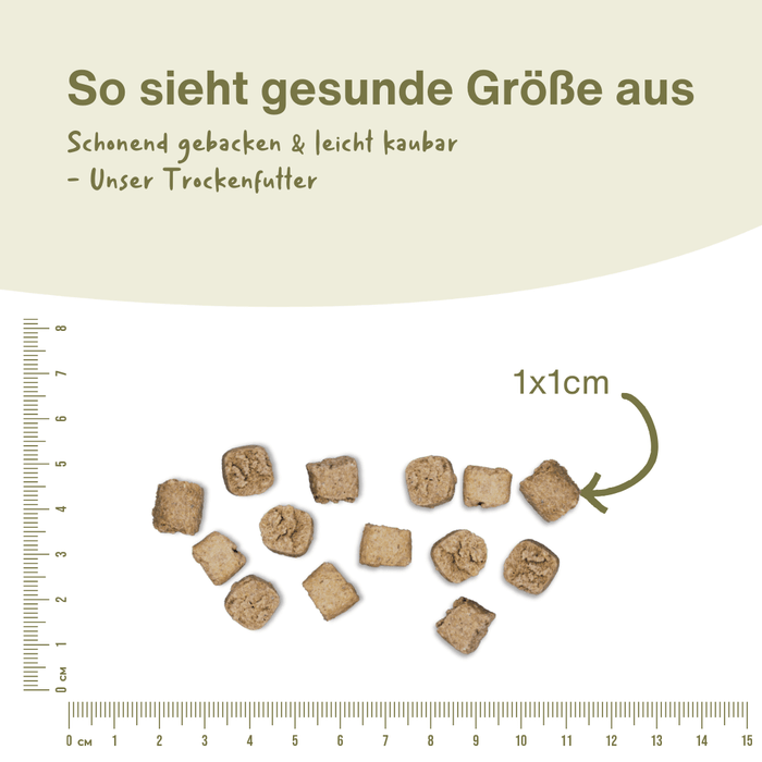 Pferd Premium Trockenfutter