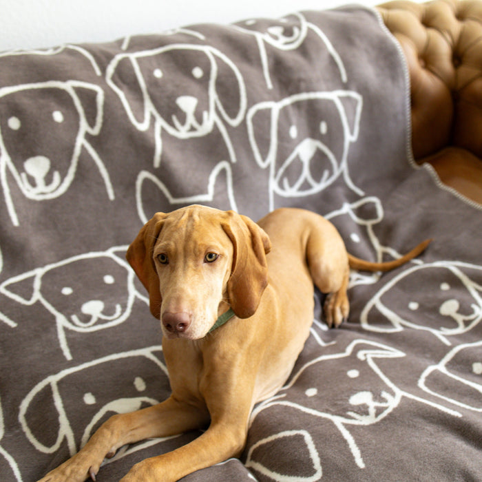 Decke Caruso Dogs