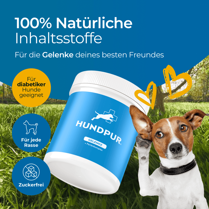 Hundpur® Gelenke mit Grünlippmuschel