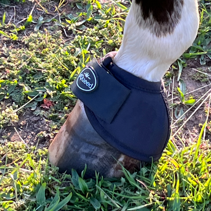 Hufglocken Bell Boots