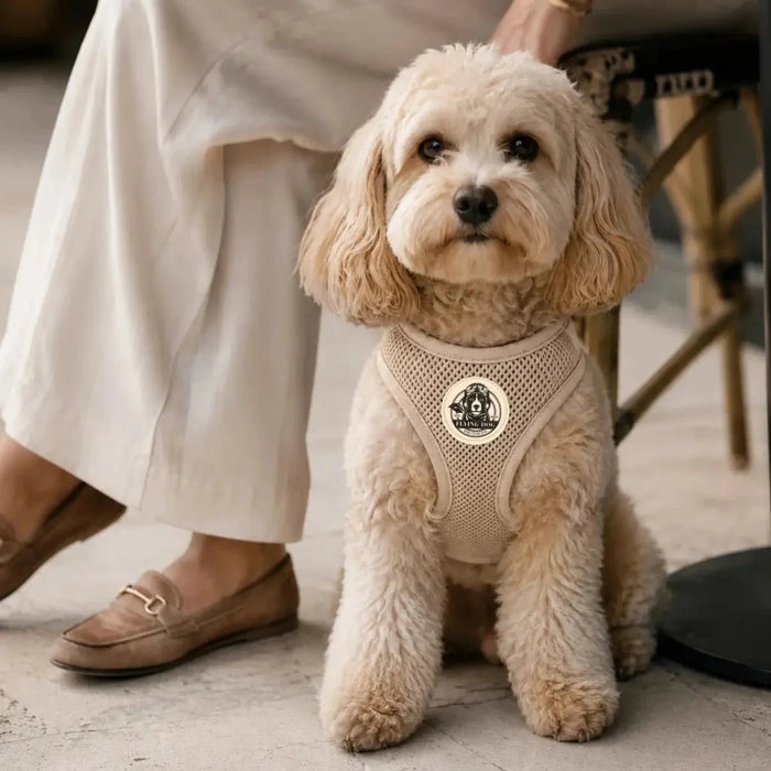 Hundegeschirr FORM – Premium