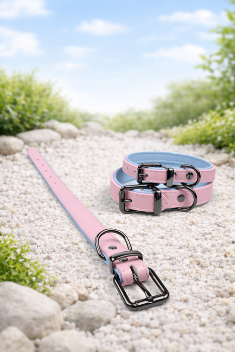 Tierluxe Klassiker - Premium Leder Hundehalsband
