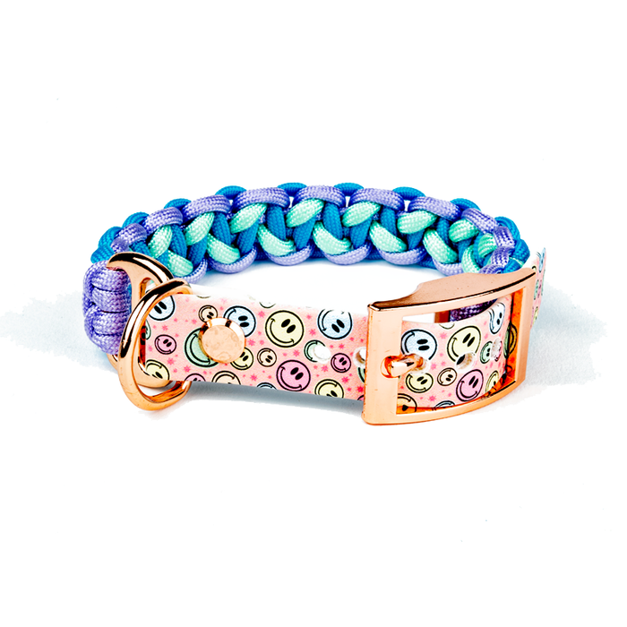 Hundehalsband Tierluxe Snowy Blau Handgemacht Paracord Biothane
