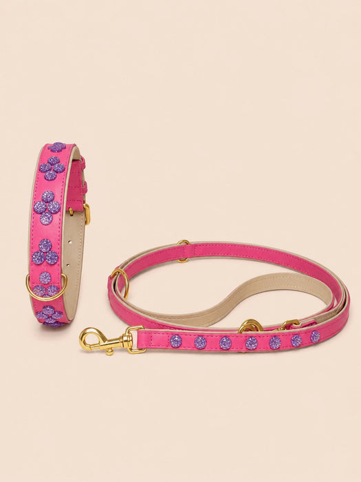 Set SIGNATURE no.03 (Halsband & Leine)