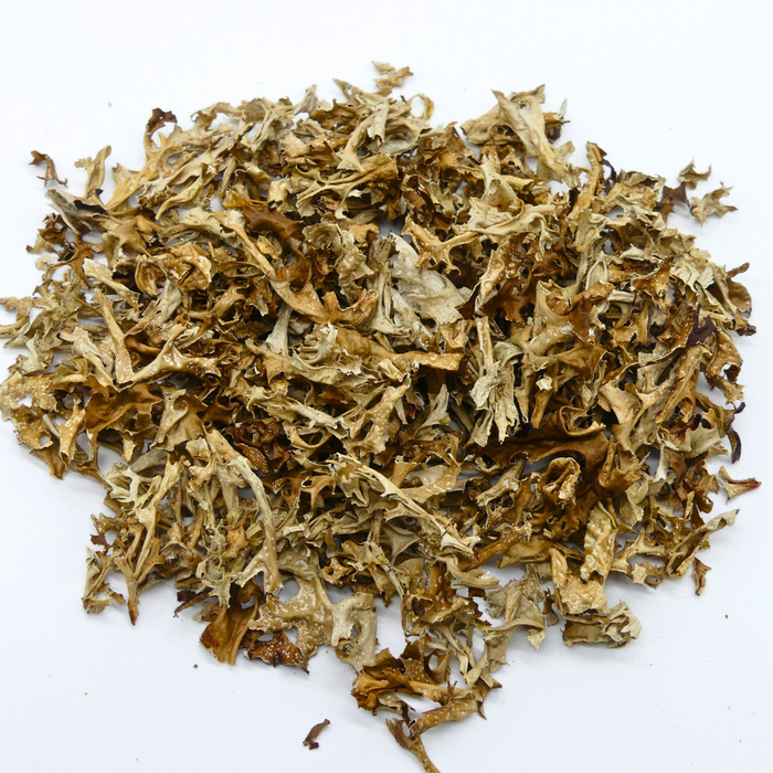 Isländisch Moos Pferd 1kg