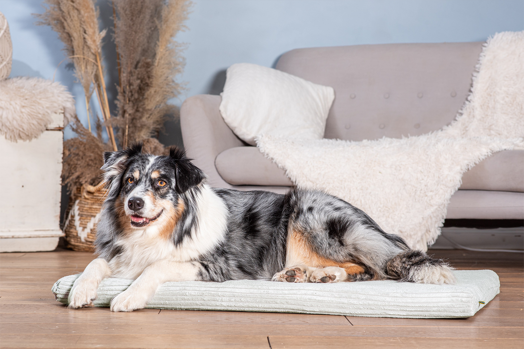 Hundeliegematte JOKKMOKK Cord