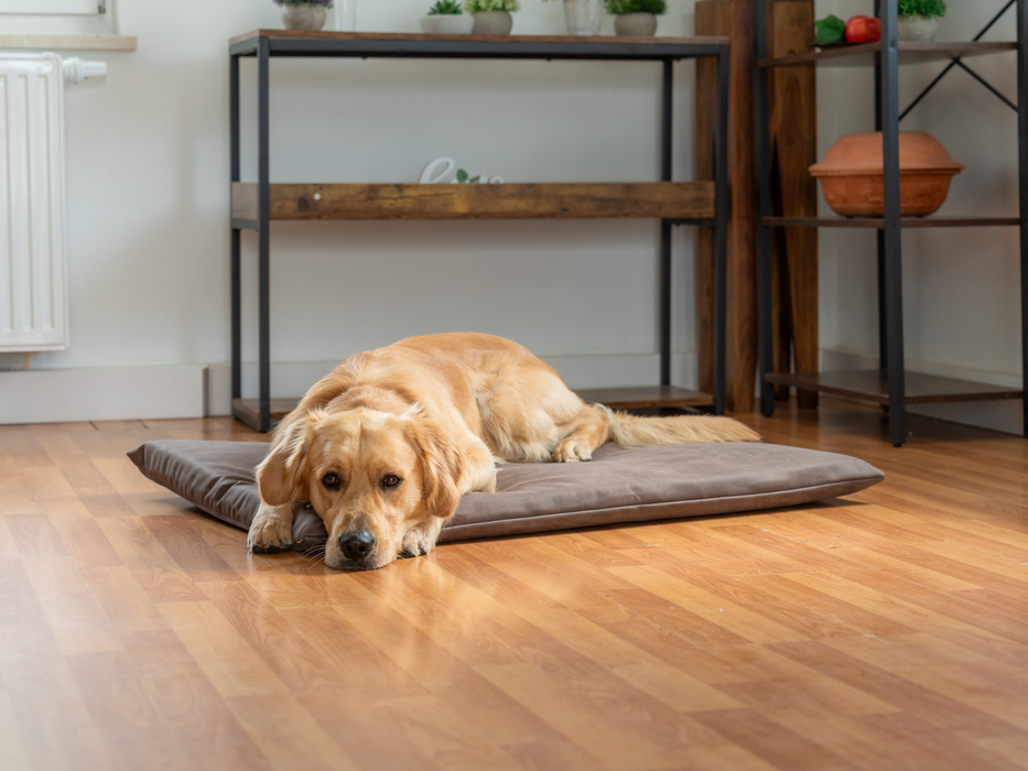 Bezug für JOKKMOKK veganes Wildleder