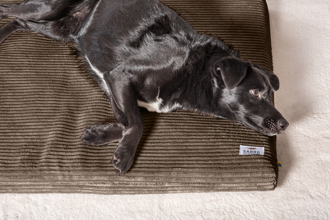 Hundeliegematte JOKKMOKK Cord