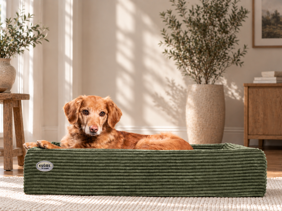 Hundebett KUDDE Cord