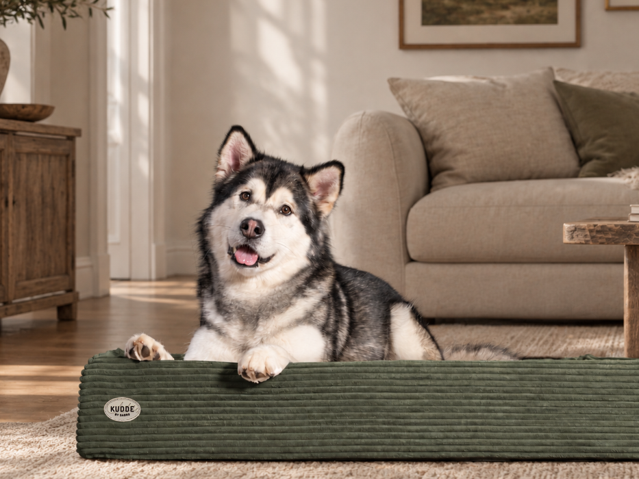 Hundebett KUDDE Cord
