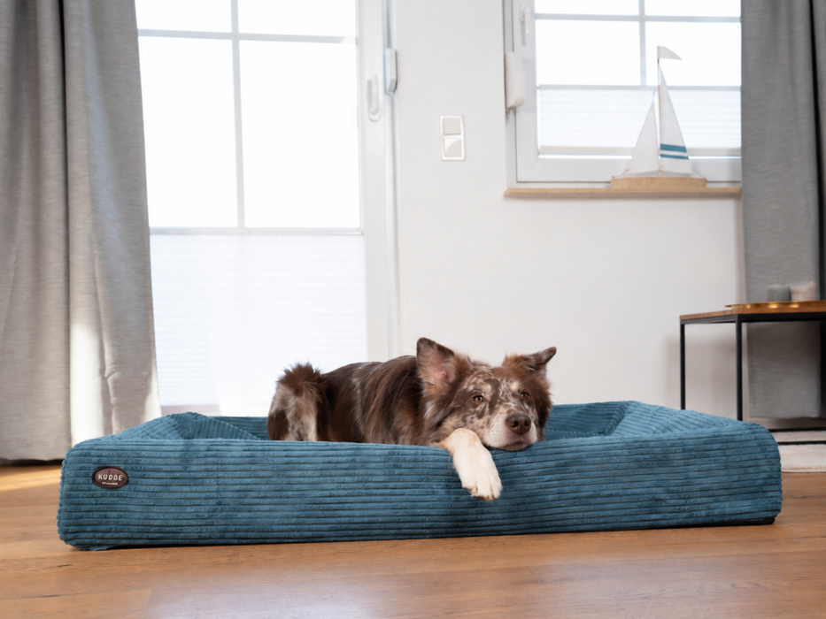 Hundebett KUDDE Cord