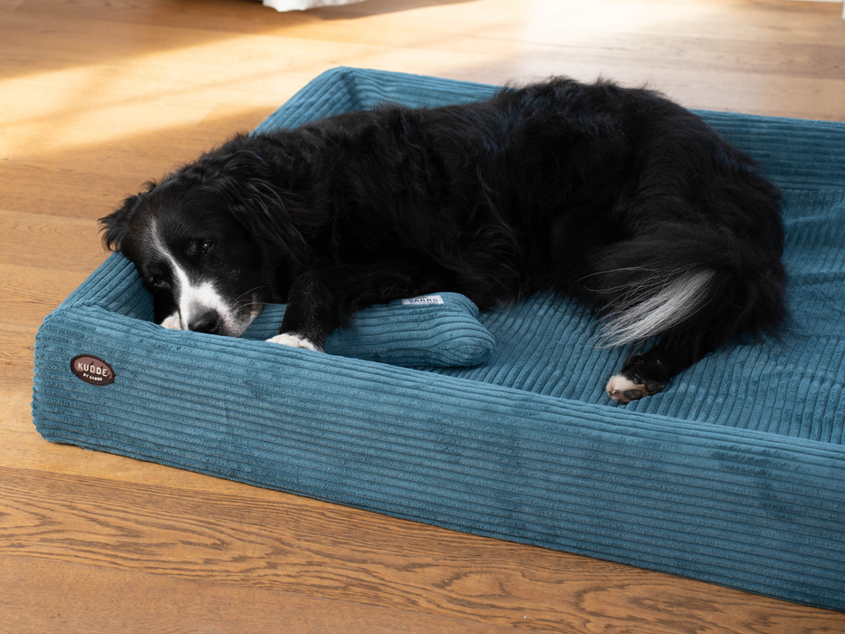 Hundebett KUDDE Cord
