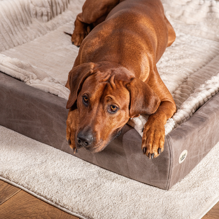 Hundebett KUDDE veganes Wildleder