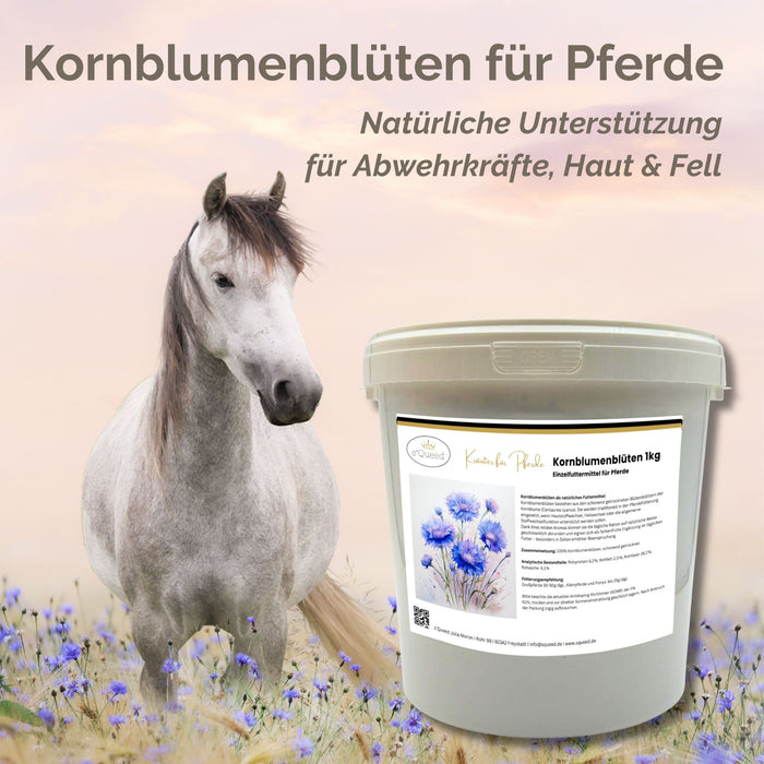 Kornblume Pferd 1kg