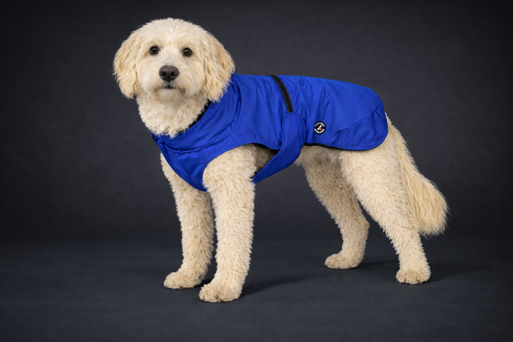 Hunderegenjacke mit Rückenöffnung "Royal Blue"