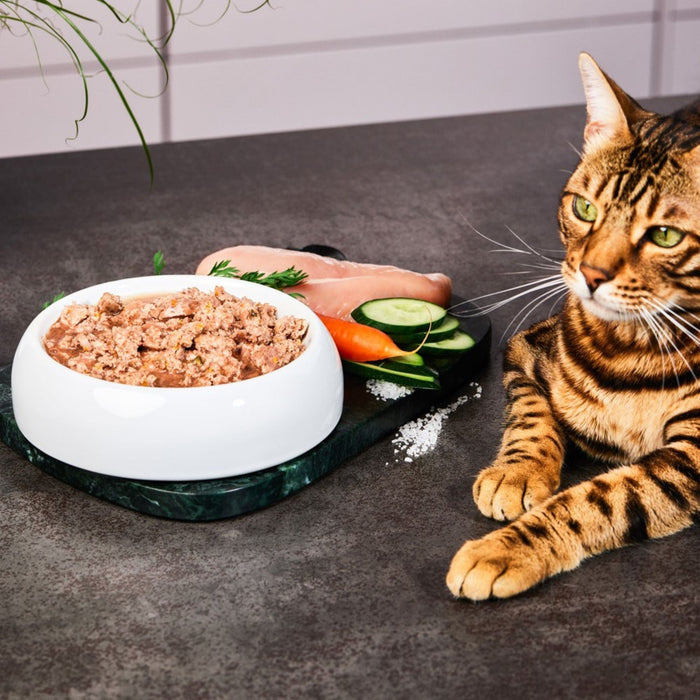 Katzenfutter Pute Premium-Qualität