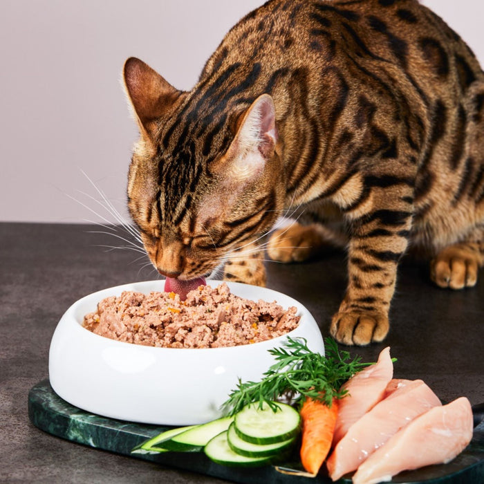 Katzenfutter Ente Premium-Qualität