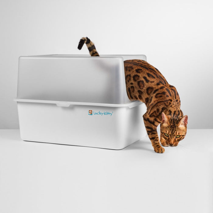 Haube für Katzentoilette XXL - Exklusiv