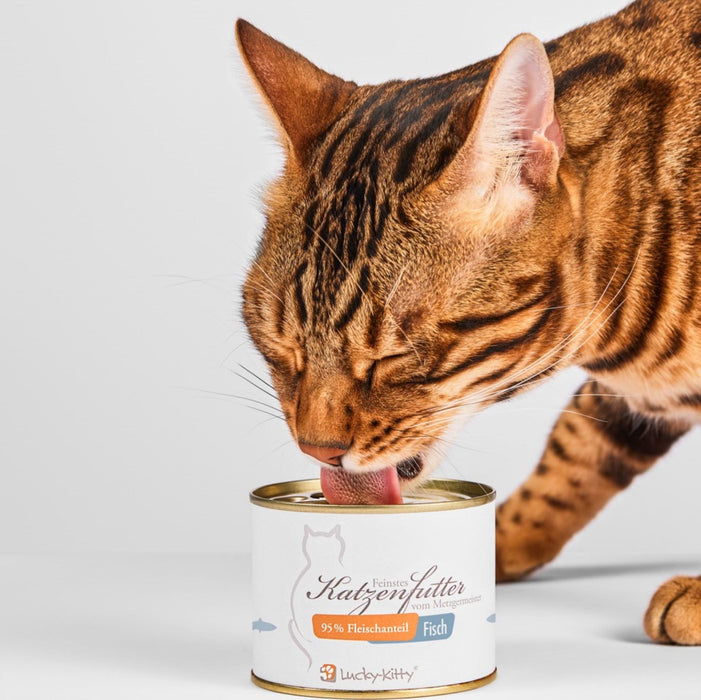 Katzenfutter Fisch Premium-Qualität