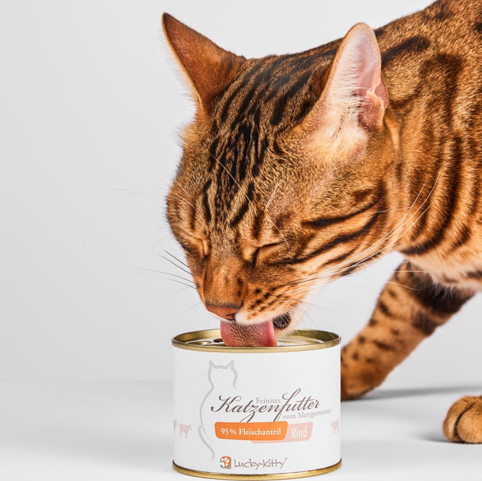 Katzenfutter Rind Premium-Qualität