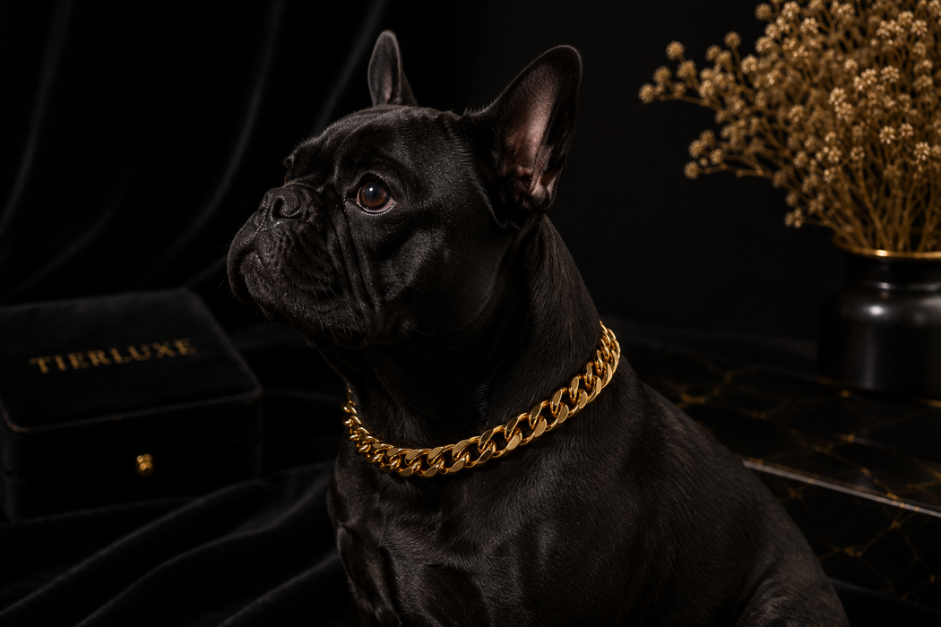 Hundehalsband Tierluxe Gold Kette
