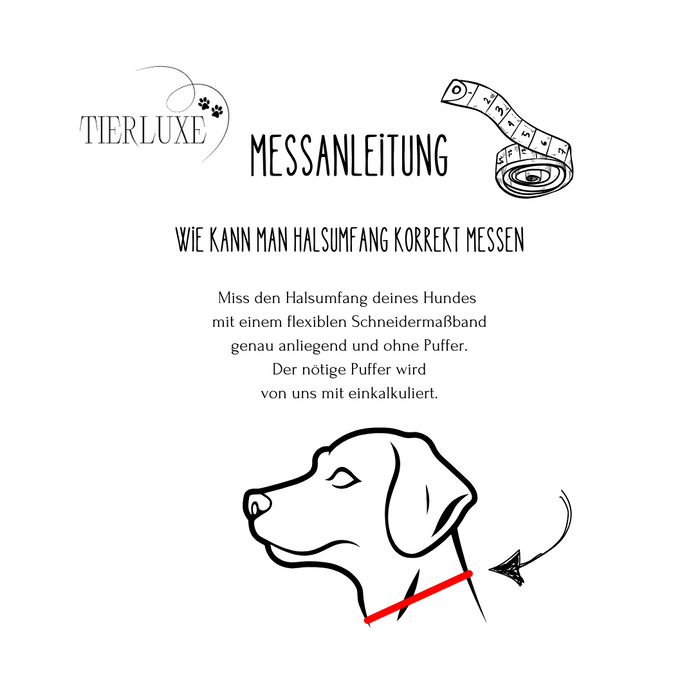 Hundehalsband Tierluxe Gold Kette