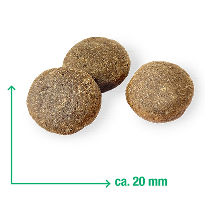 Wildsterne Classic Adult Pferd + Kartoffel