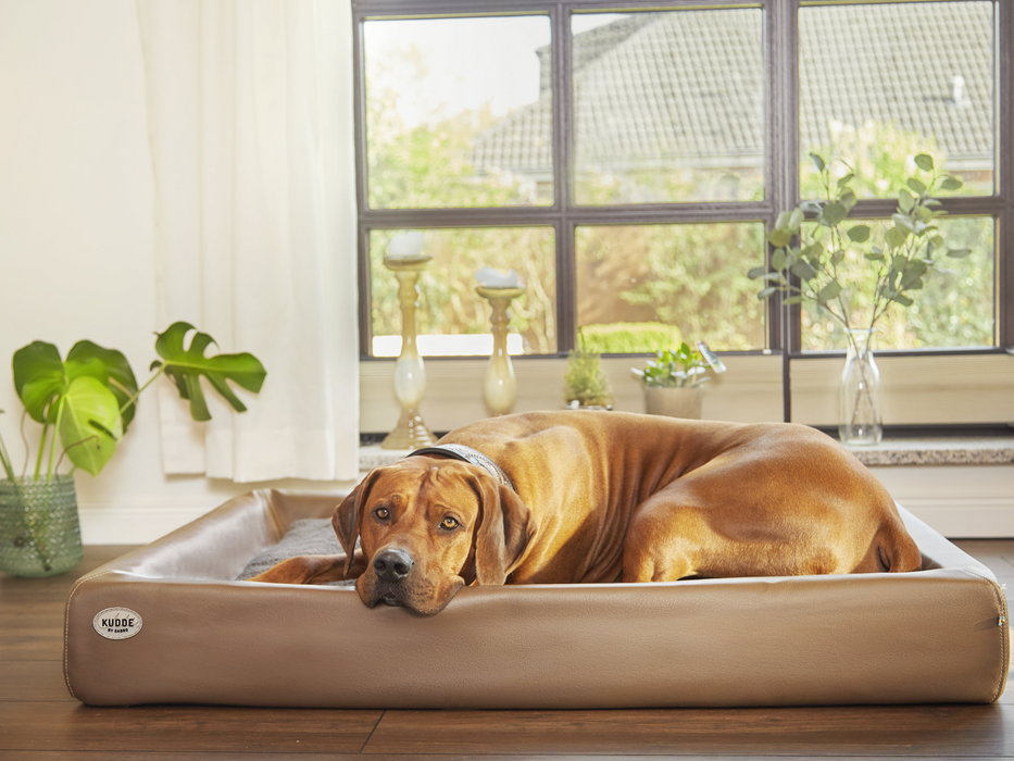 Hundebett KUDDE Kunstleder