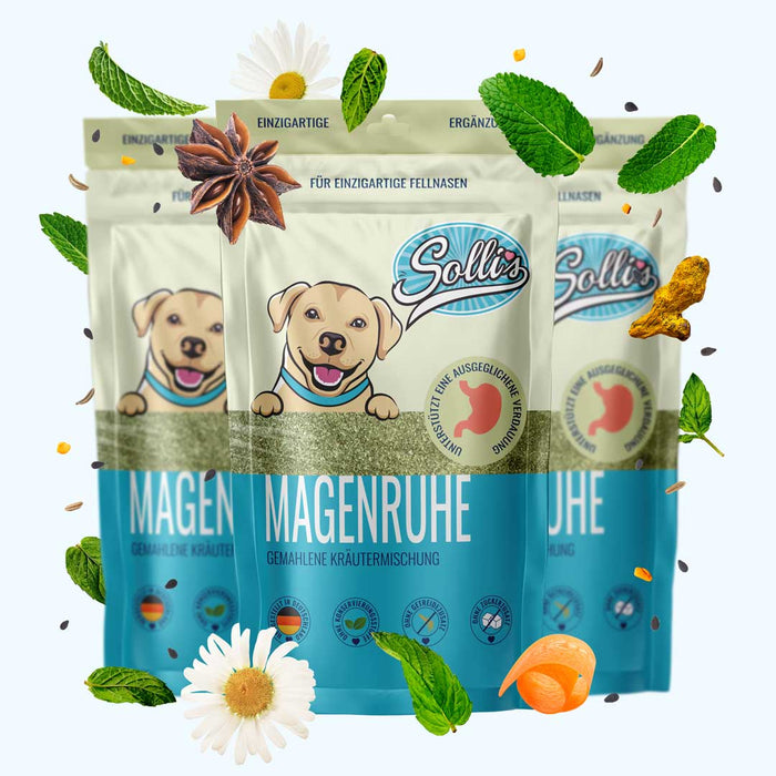 Kräuterliebe Magenruhe - Für einen entspannten Magen