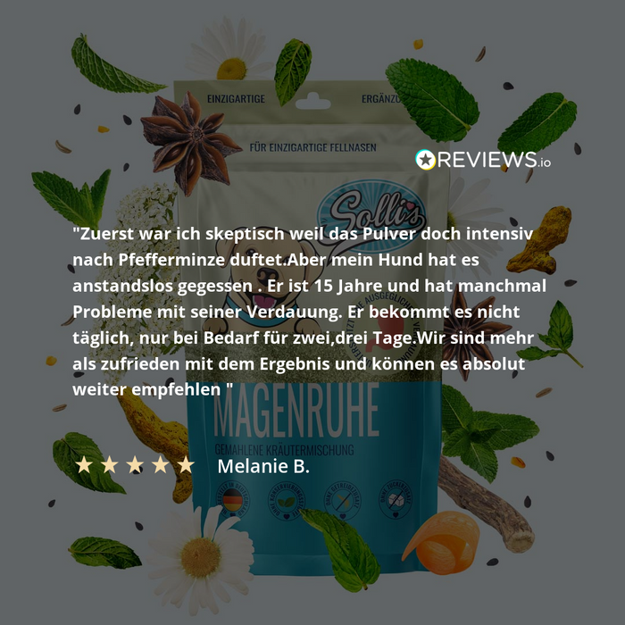 Kräuterliebe Magenruhe - Für einen entspannten Magen