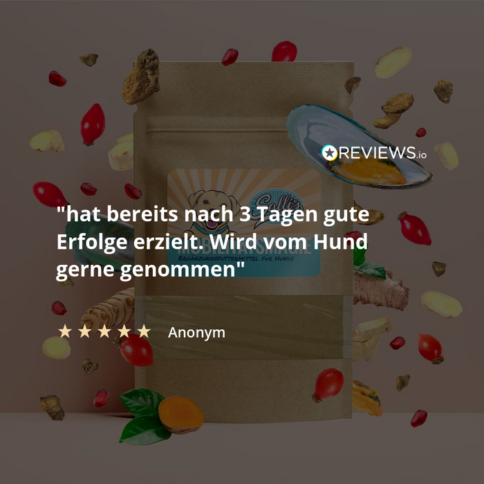 Gelenkpulver Mobilitätsmagie - Für Gelenke & Beweglichkeit