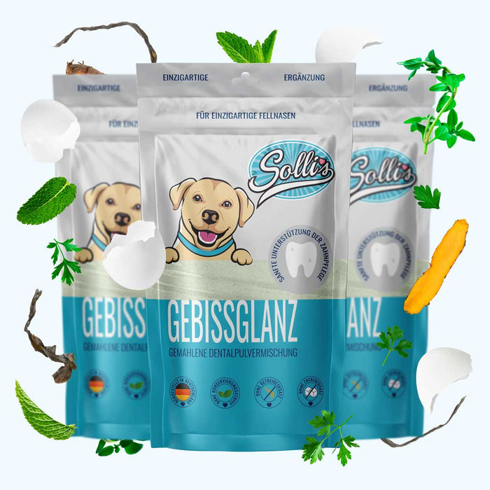 Dentalpulver Gebissglanz - Für Zahnpflege & frischen Atem