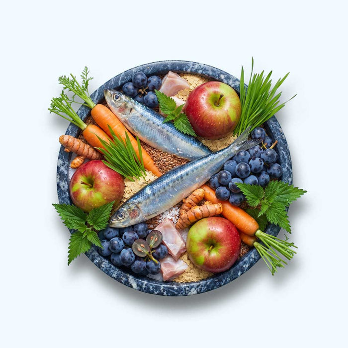 Seniorenpulver Goldene Jahre - Für Vitalität im Alter