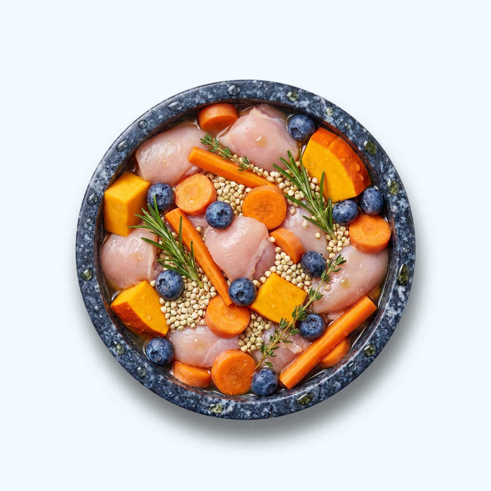 Nassfutter Huhn | Adult
