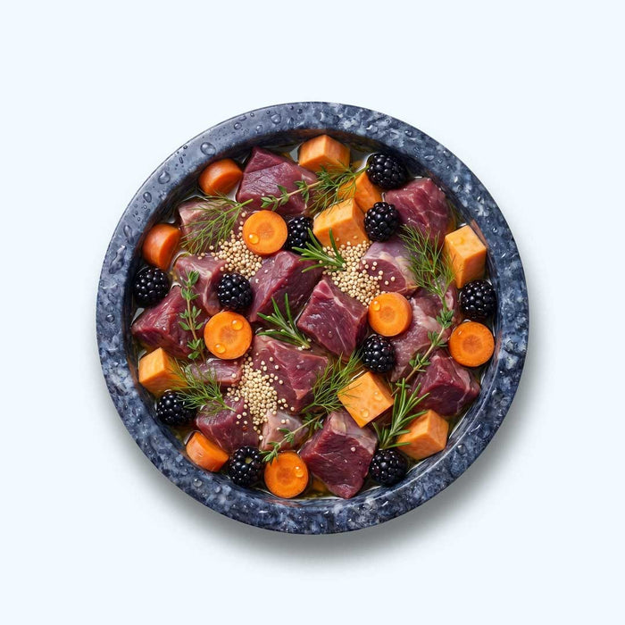 Nassfutter Lamm | Adult