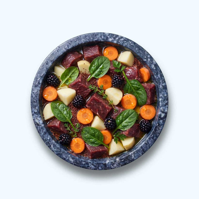 Nassfutter Rind | Adult