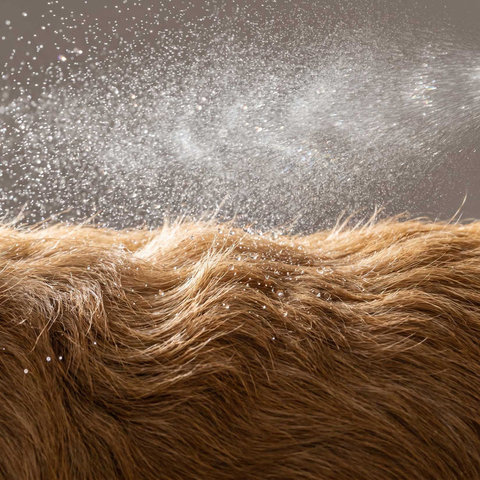Fellfinesse Frischespray - zersetzt & neutralisiert unangenehme Gerüche