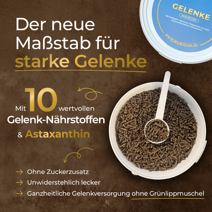 Gelenke Muschelfrei 2.0