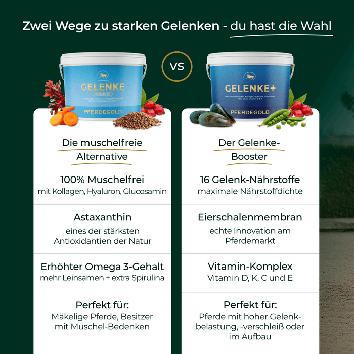 Gelenke Muschelfrei 2.0