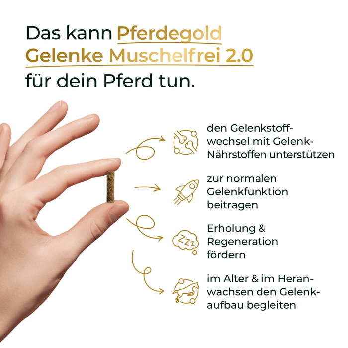 Gelenke Muschelfrei 2.0