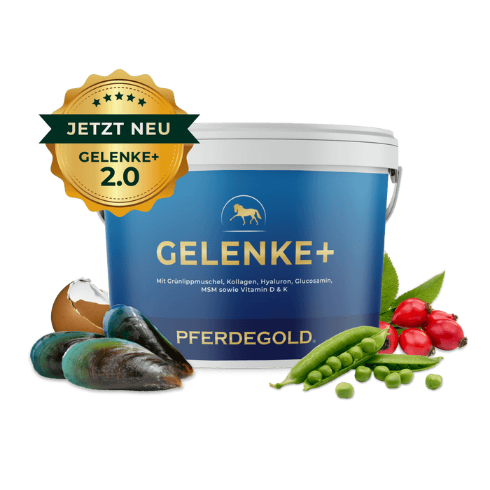 Gelenke+ 2.0