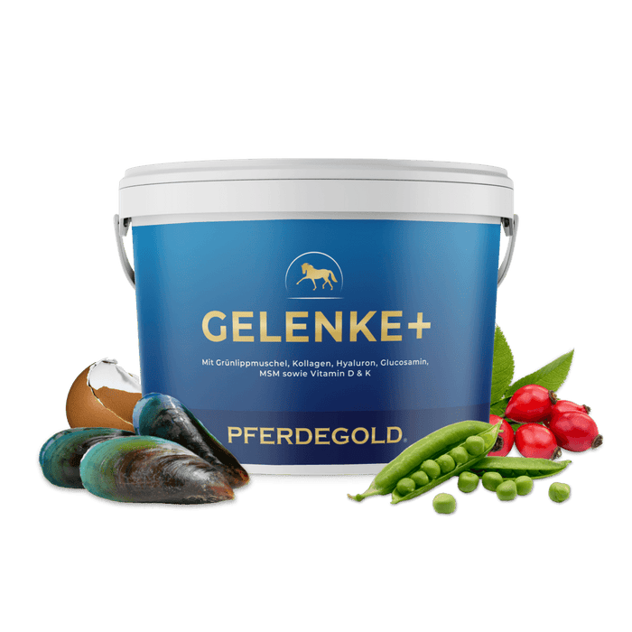 Gelenke+ 2.0