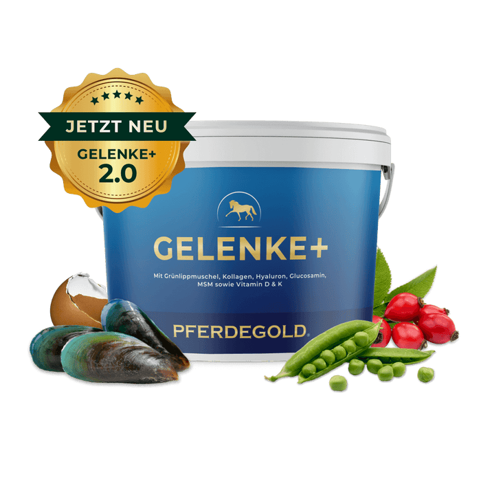 Gelenke+ 2.0