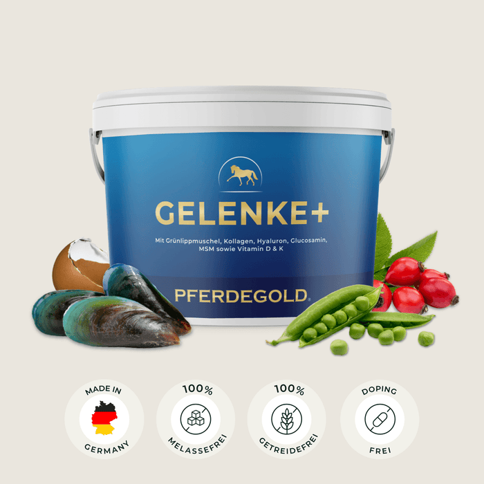 Gelenke+ 2.0